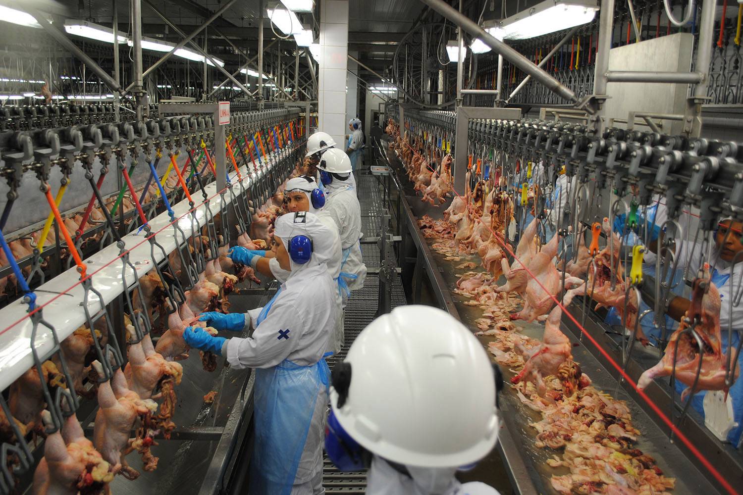 Filipinas proíbem importação de frango do Brasil por medo de Covid-19
