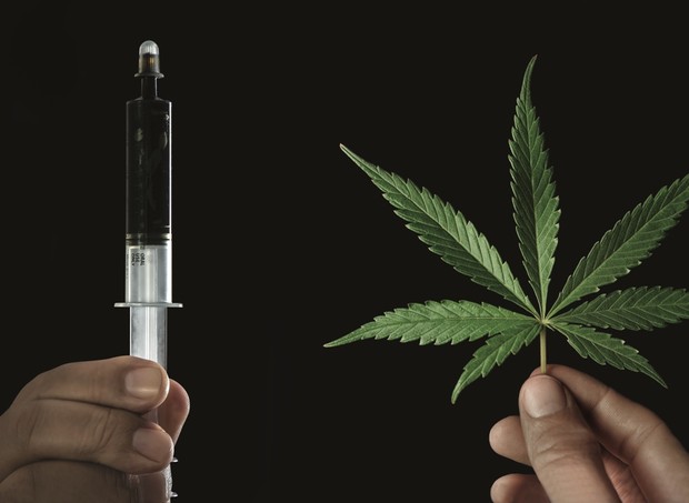 Médicos e pacientes se esforçam para quebrar preconceitos do uso medicinal da cannabis