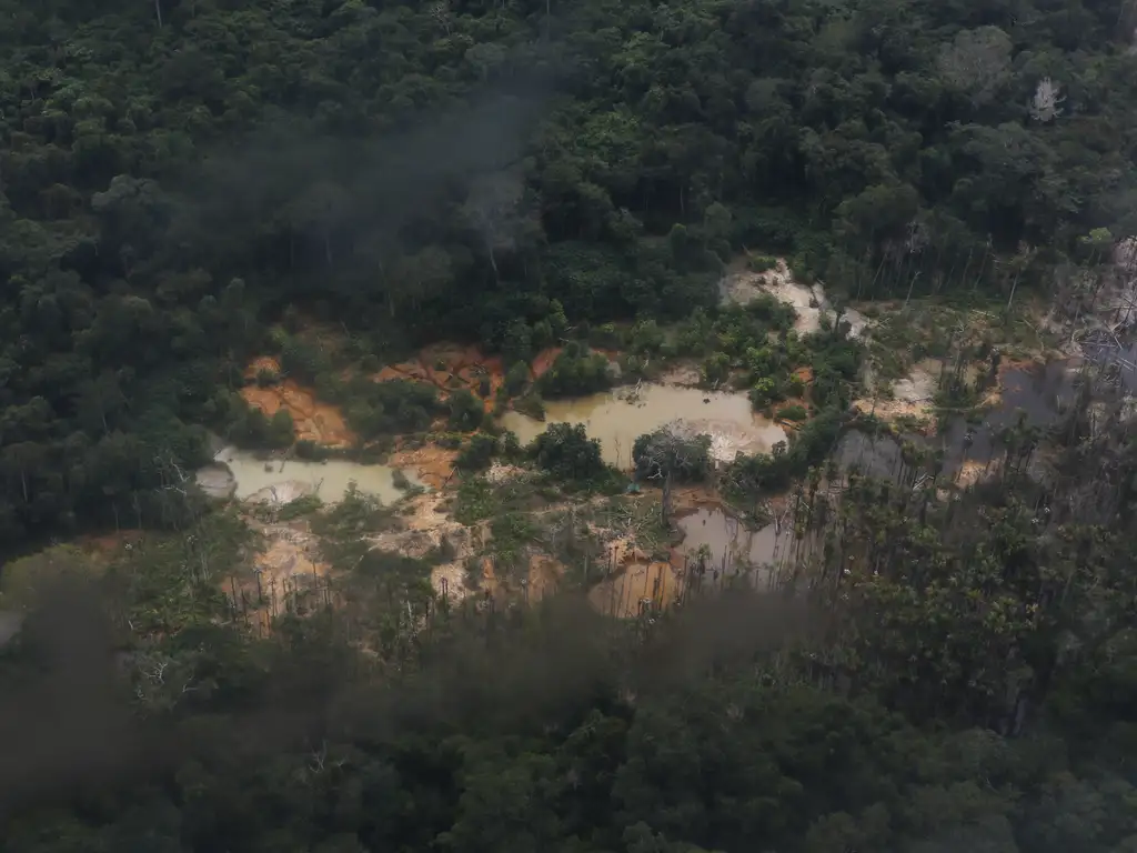 A relação entre a imprensa, os financiadores dos garimpos na Amazônia e as pesquisas de opinião política
