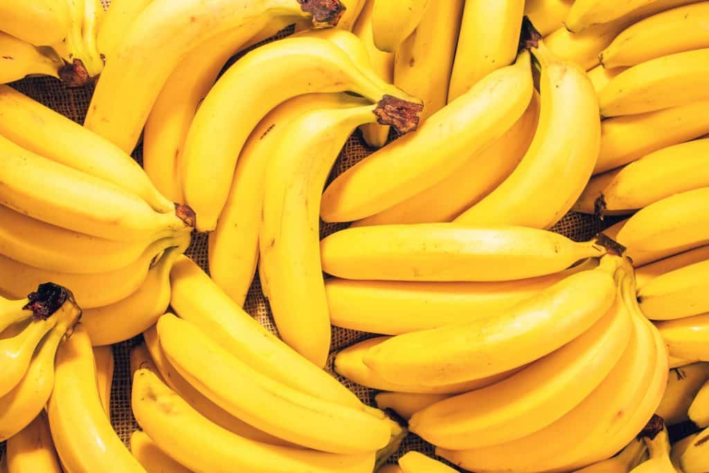 Alterações climáticas ameaçam um dos nossos alimentos preferidos.