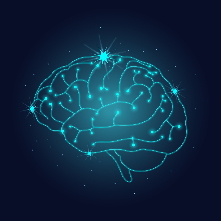 Estudos mostram que colesterol é fundamental para a saúde cerebral.