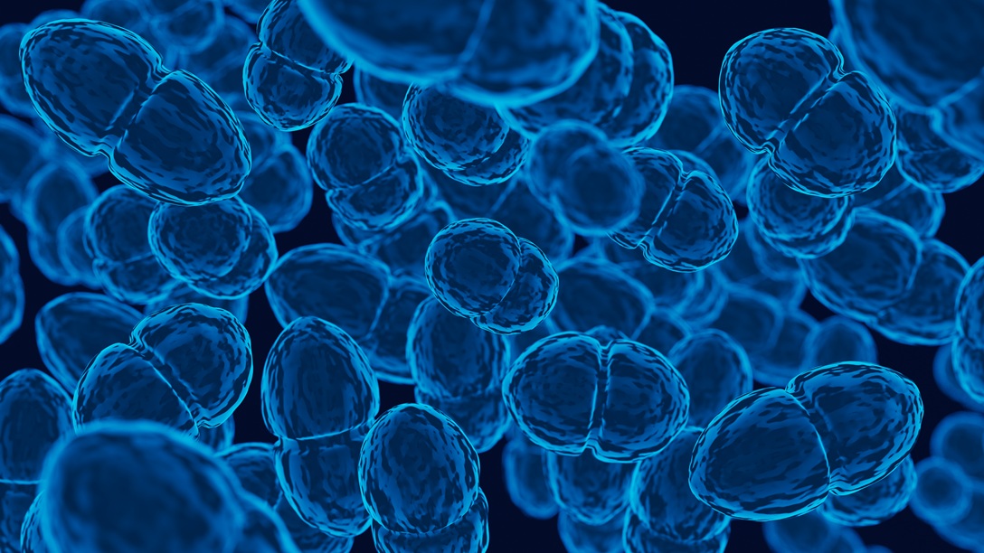 Estudo aponta que bactérias intestinais modificadas podem ajudar o organismo a combater o câncer colorretal