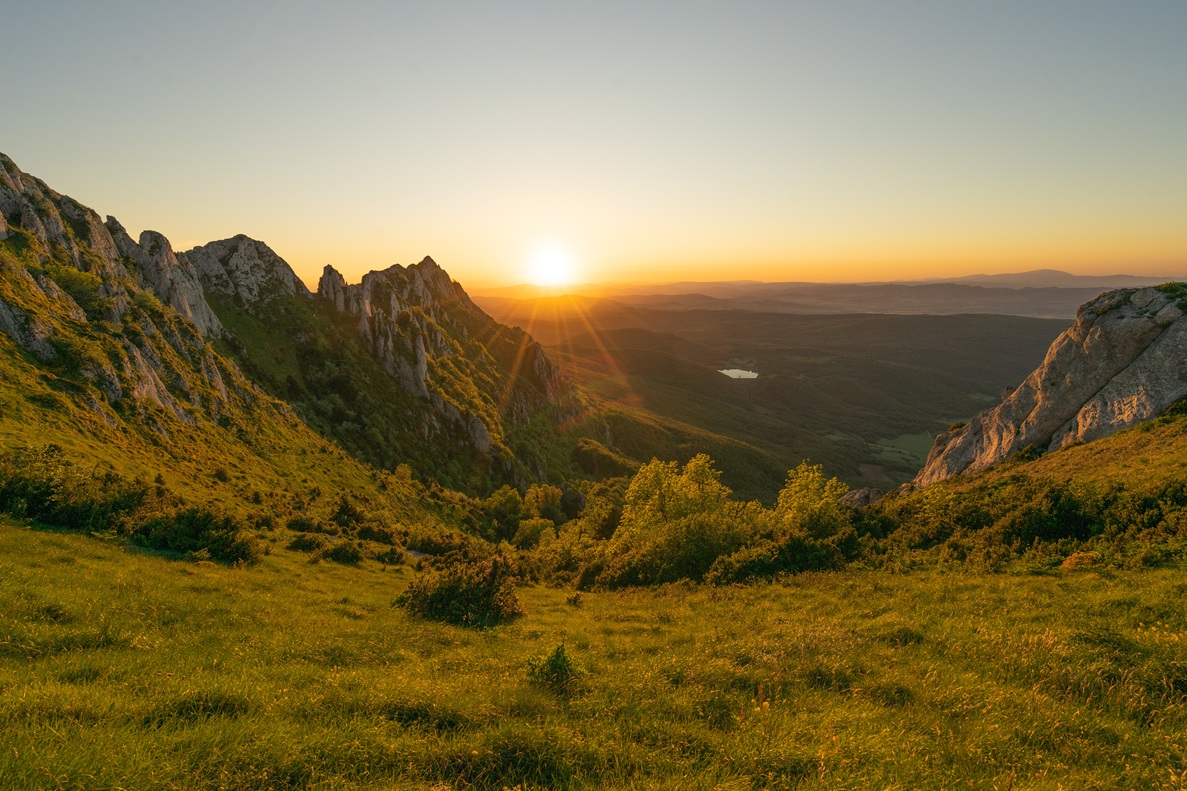 Filmes da natureza promovem tranquilidade, elevam o ânimo e oferecem uma experiência de conexão com a natureza sem precisar sair de casa